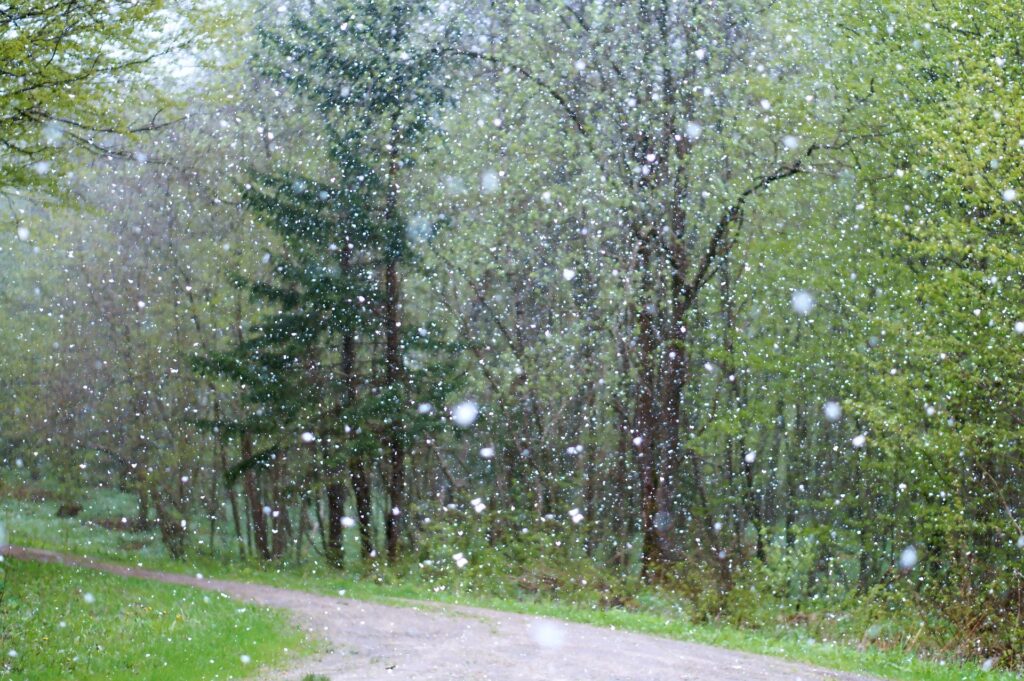 snowfall from Texas to New York.